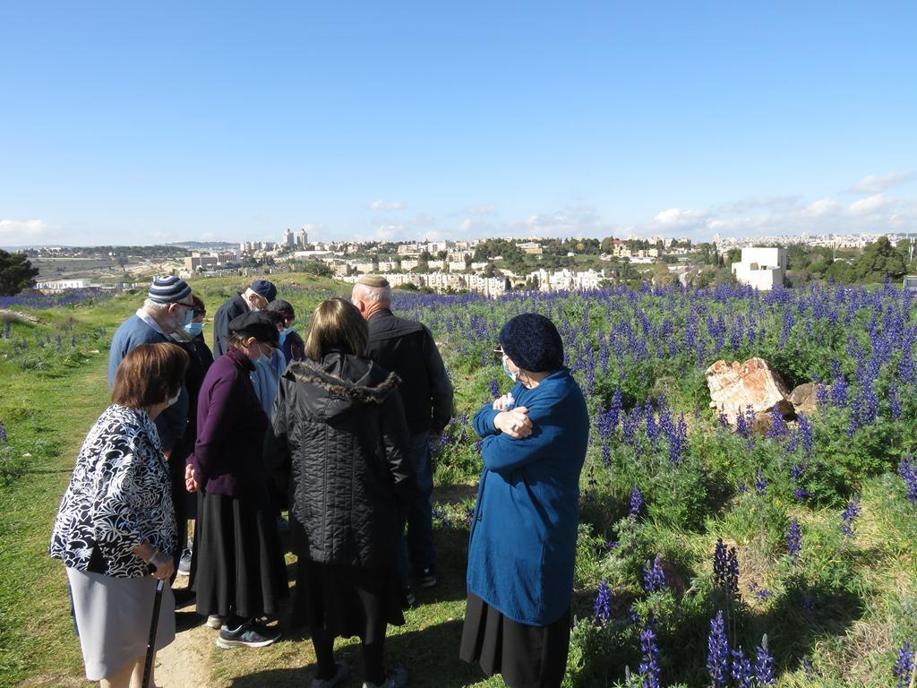 תרבות ופנאי בבית טובי העיר טיול שטח 4