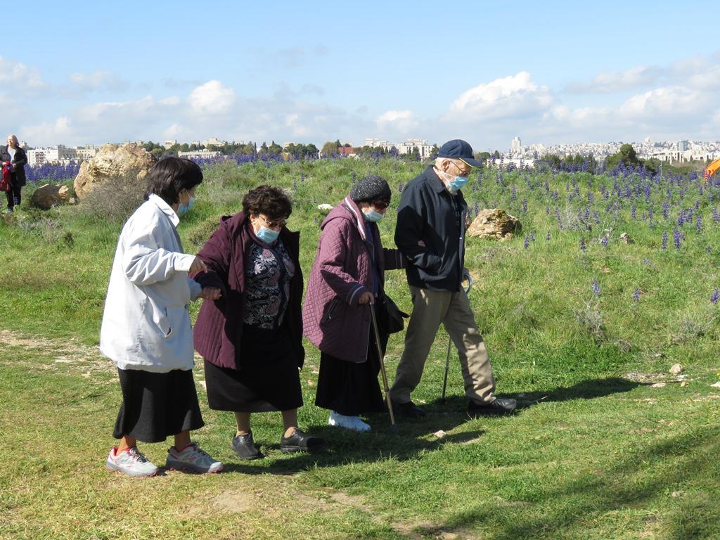 תרבות ופנאי בבית טובי העיר טיול שטח 6