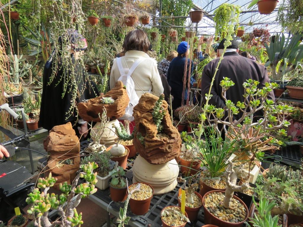 תרבות ופנאי בבית טובי העיר טיול שטח 39