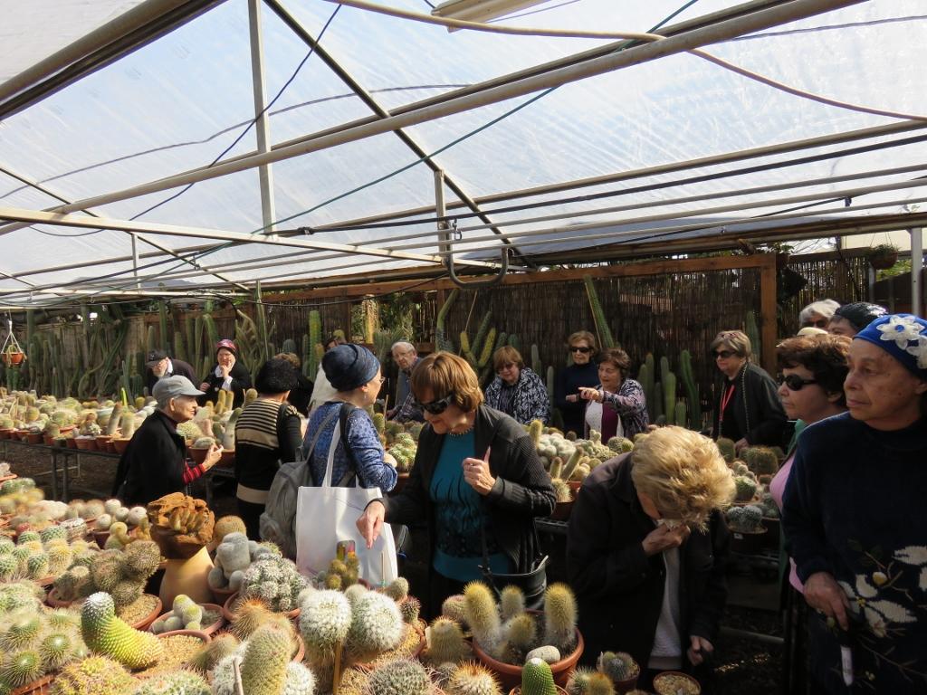 תרבות ופנאי בבית טובי העיר טיול שטח 40