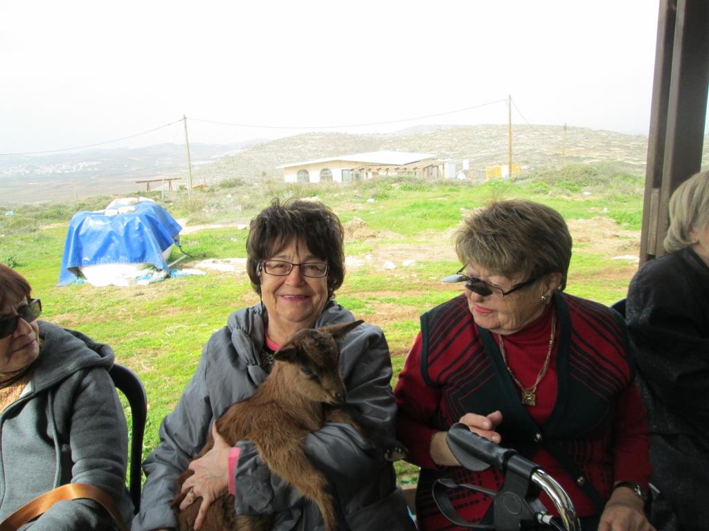 תרבות ופנאי בבית טובי העיר טיול לחוות החיות