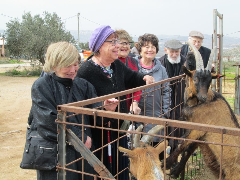תרבות ופנאי בבית טובי העיר טיול לחוות החיות 4