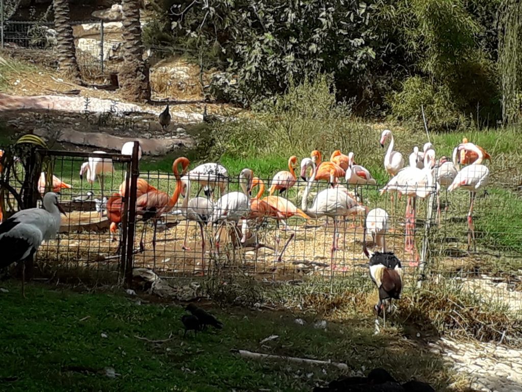 תרבות ופנאי בבית טובי העיר טיול שטח 18